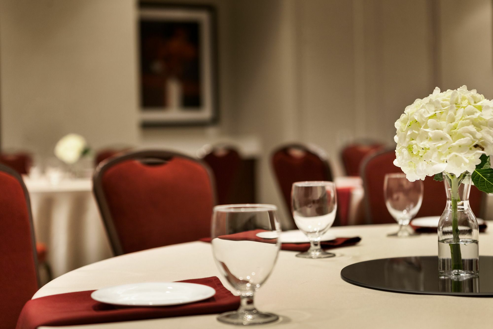 Hilton Garden Inn Charlotte Southpark Esterno foto